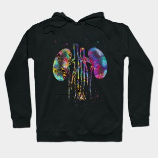 Kidneys anatomy Hoodie